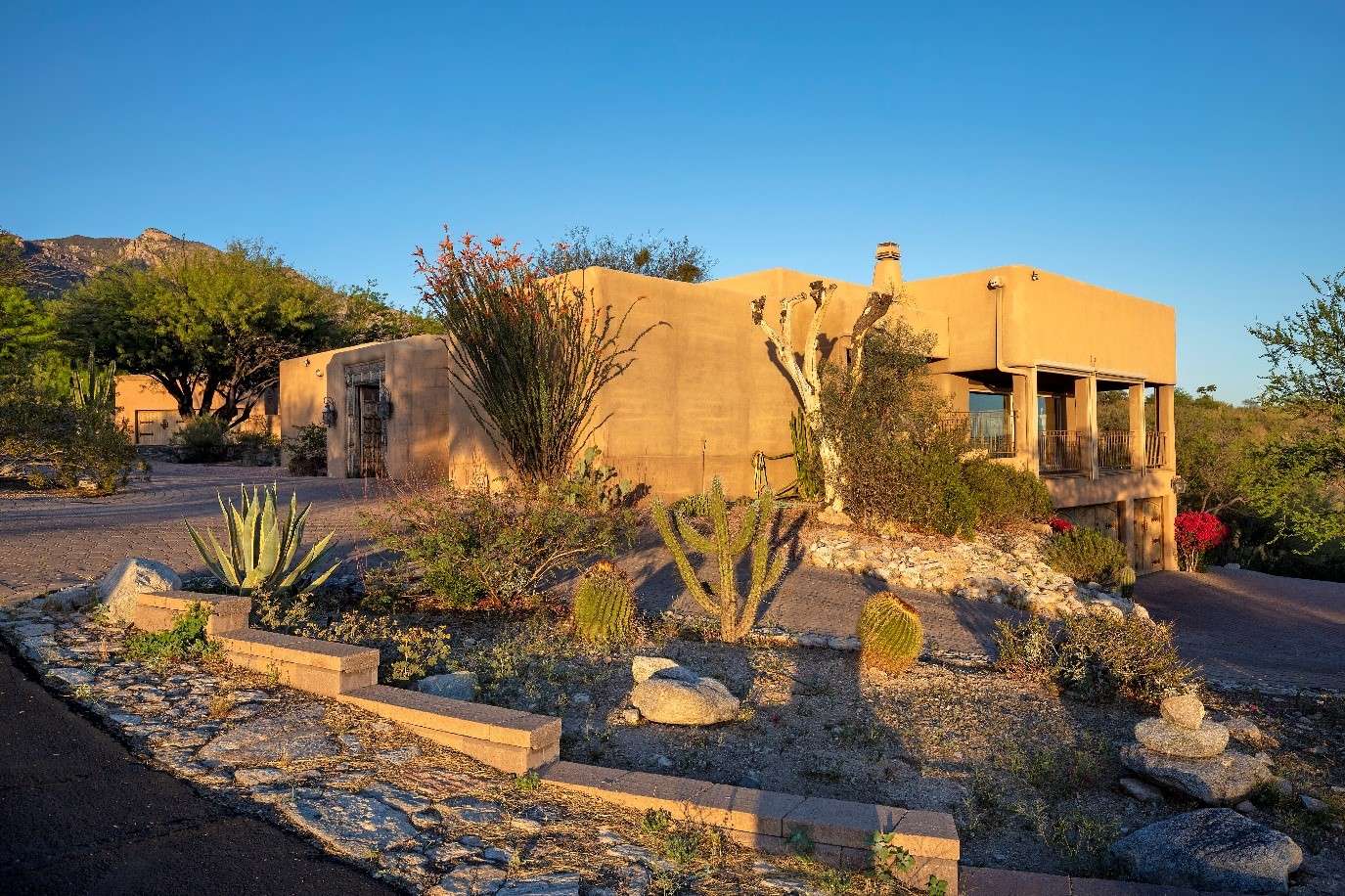 Moon Valley Nursery Arizona Blog Moon Valley Nurseries